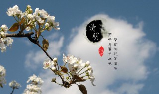 又是一年清明节说说（又是一年清明节说说短句）