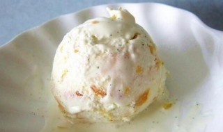 橙皮酱冰淇淋 橙皮酱冰淇淋怎么做