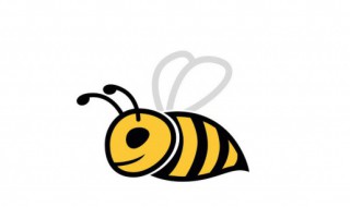 马蜂和牛角蜂区别（马蜂和牛角蜂区别图）