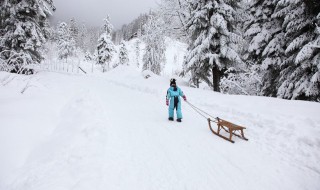 滑雪双板怎么拐弯 滑雪双板怎么拐弯儿