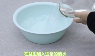 84消毒液漂白鞋子的使用方法（84消毒液漂白鞋子水和漂白水的比例）