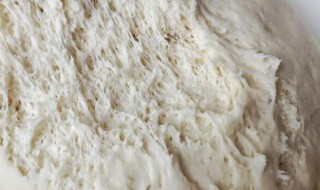 发酵面粉可以放一晚上吗 发酵面粉可以放一晚上吗为什么