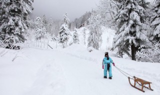 雪景拍照发朋友圈说说（雪景拍照发朋友圈说说一场冬雪一场寒,一声问候一声暖!）