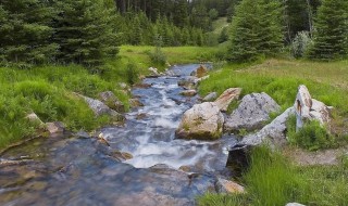 梦见水坑（梦见水坑里的水很浑浊）