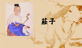 庄子极具什么色彩（庄子具有什么色彩）