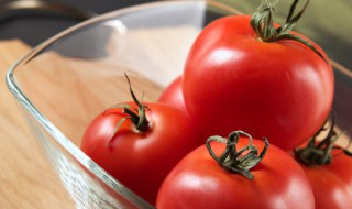 西红柿什么时候种好怎么种 西红柿什么时候种最合适?