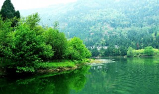 湿地适合种养什么 湿地适合种植什么