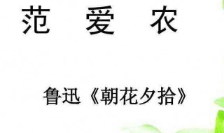 范爱农主要内容 范爱农主要内容概括300字