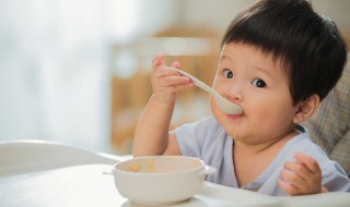 干饭人的意思（干饭人 意思）