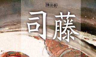 司藤秦放在一起了吗（司藤秦放住哪里）