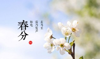 二十四节气春分简介（二十四节气春分简介和风俗来历）