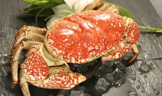 吃帝王螃蟹正确方法 吃帝王螃蟹正确方法是什么