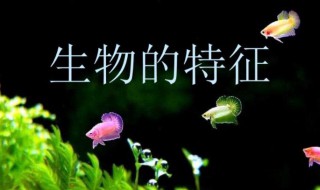 生物的特征是什么 生物的特征是什么决定的