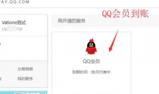 QQ会员的红钻有什么用（qq会员红钻联合活动专区）