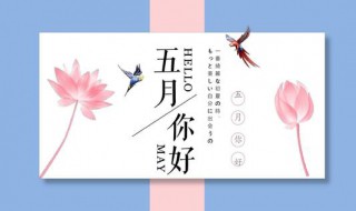 五月是夏天还是春天（五月算是春天还是夏天）