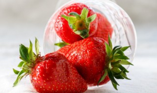 五月可以种草莓吗 五月还可以种草莓吗
