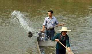 鱼池消毒最佳方法 鱼池消毒怎么消