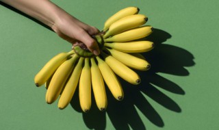 芭蕉和香蕉区别在哪 芭蕉和香蕉区别在哪里图片对比