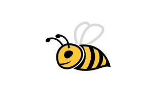 蜜蜂的居住特点 蜜蜂的居住特点有什么