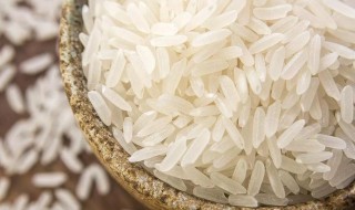籼米是什么米（籼米是什么米好吃吗）