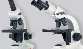 低倍显微镜的使用步骤和注意事项 低倍显微镜的使用方法和注意事项