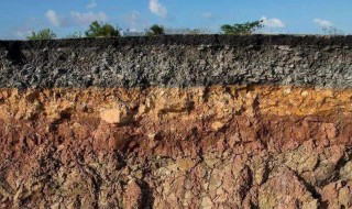 风化土是什么土壤（风化土和赤玉土哪个好）