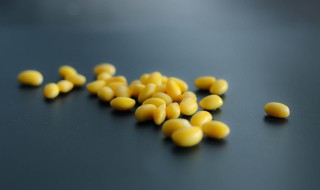 鲜黄豆怎么保存方法 鲜黄豆怎么保存方法不变质