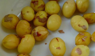 白果去皮的简易方法 白果去皮的简易方法有哪些