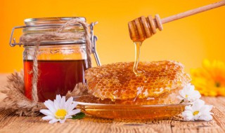 蜂蜜减肥效果 蜂蜜加什么减肥效果更快