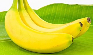 香蕉为什么是弯曲的（香蕉为什么会是弯的）
