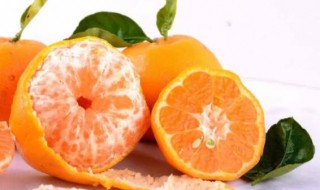 柑子的功效与作用（柑子和橙子和桔子的区别）