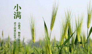 小满节气(小满节气的含义是什么)