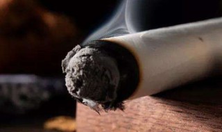 艾灸的作用 艾灸的作用和功效