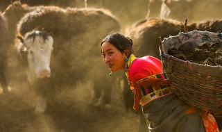 藏族服饰特点 藏族服饰图片