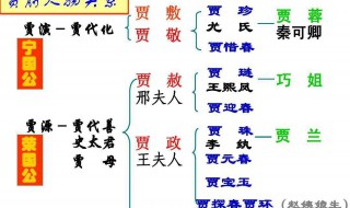 林黛玉进贾府中社会描写有什么作用（林黛玉进贾府中社会描写有什么作用呢）