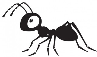 家里突然招蚂蚁预示着什么 弄死蚂蚁会引来更多的蚂蚁吗