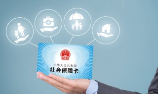 怎么查询自己的社保号（怎么查询自己的社保号和密码）