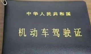 怎么查询驾驶证状态 怎么查询驾驶证状态正不正常