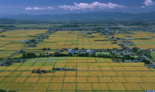 四大平原四大盆地 四大平原四大盆地四大高原