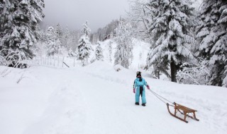 雪的寓意和象征 桃花雪的寓意和象征