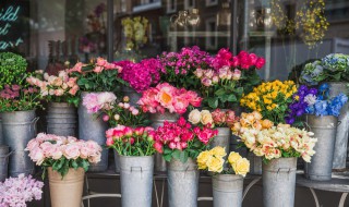 送花篮和花束区别 送花篮好还是花束好