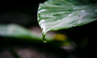 梅雨季节怎么除湿（梅雨季节怎么除湿防潮小提示）