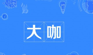 大咖什么意思（时尚大咖什么意思）