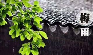 梅雨季节是什么意思（梅雨季节的梅雨是什么意思）