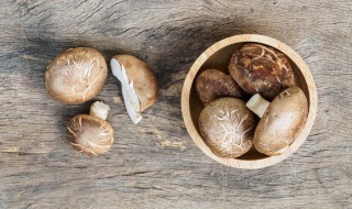香菇炒肉丝的家常做法 蘑菇炒肉怎么炒好吃又简单的做法