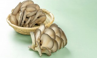 怎么做美味的孜然蘑菇 孜然蘑菇怎么做法