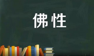 佛性是什么意思（说一个女人有佛性是什么意思）