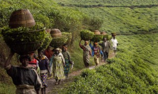卢旺达种族清洗事件 卢旺达种族清洗事件始末