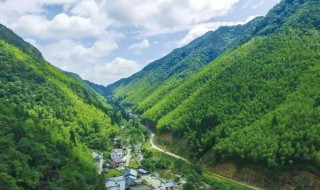 武夷山岩茶介绍 武夷山岩茶的介绍