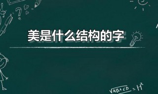 美是什么结构的字 美是什么结构的字形